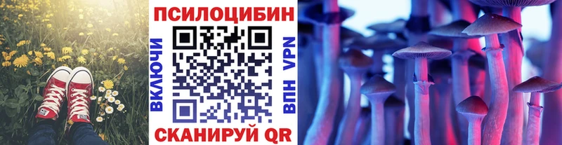 МЕГА рабочий сайт  Микунь  Галлюциногенные грибы Psilocybine cubensis  как найти закладки 