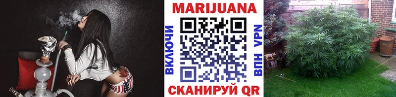 Конопля конопля Микунь